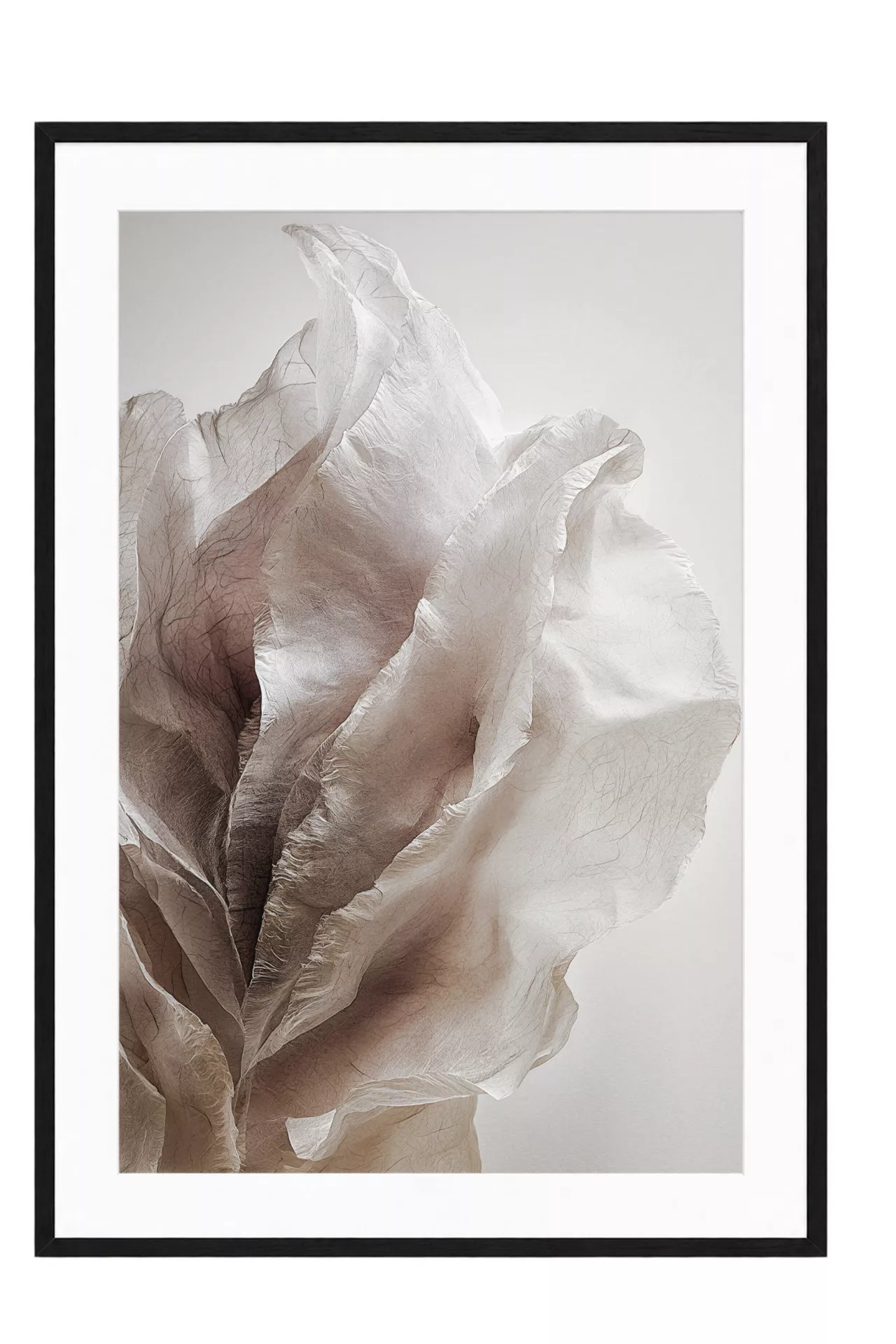 ORGANIC VEIL I – Gerahmter Fine Art Print